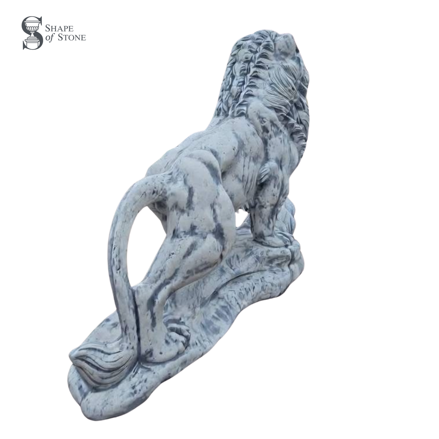 Majestic Lion Statue – Reconstituted Stone Garden Ornament